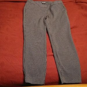 Express Columnist ankle pant